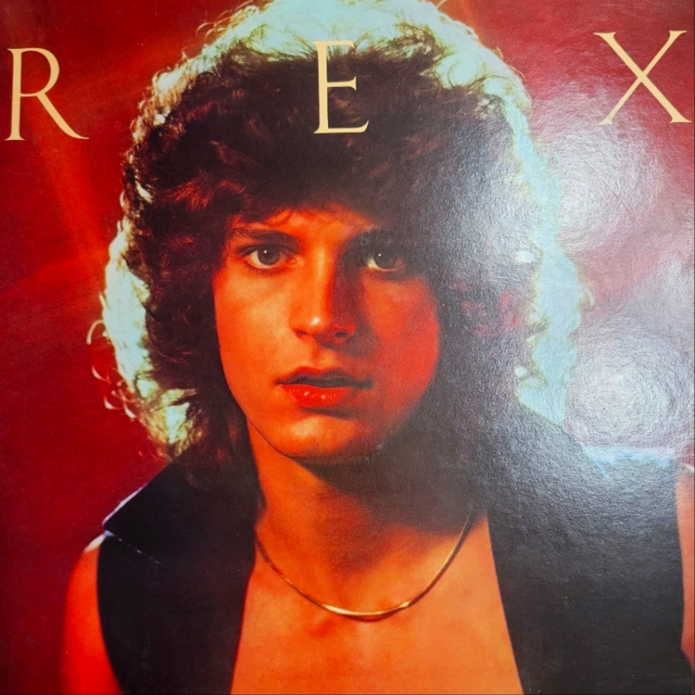 Lot of TWO Albums by Rex, both in  condition, see pics for songs 🎵
